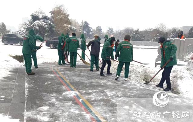 遂平县园林绿化中心：除雪护绿 全力保障市民安全游园